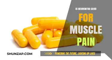 Neurontin for Muscle Pain: Benefits, Effectiveness, and Side Effects Explained