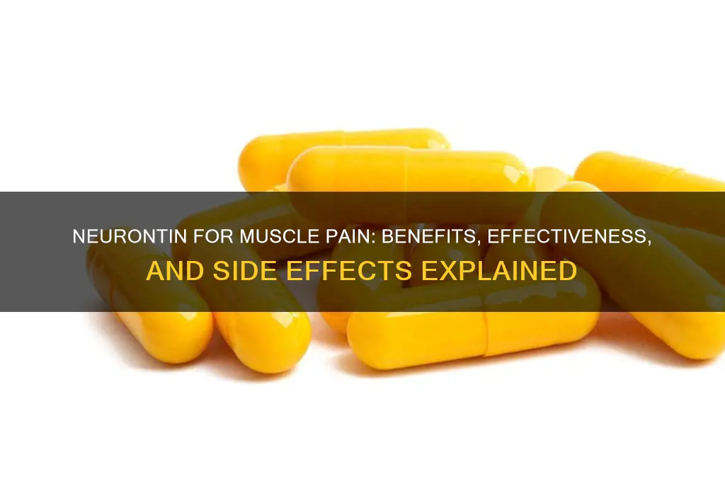 is neurontin good for muscle pain