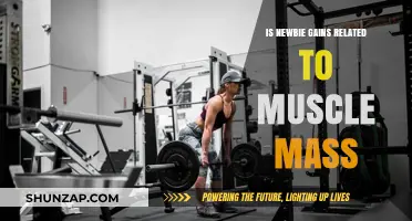 Newbie Gains and Muscle Mass: Unraveling the Connection for Beginners