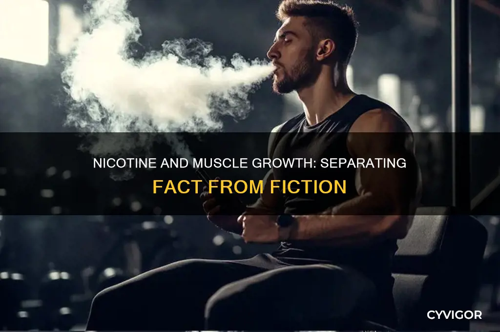 is nicotine good for muscle growth