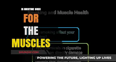 Nicotine and Muscle Health: Benefits, Risks, and What Science Says