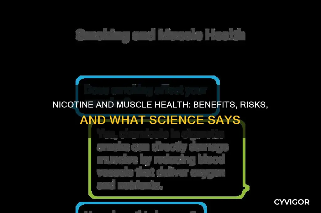 is nicotine good for the muscles