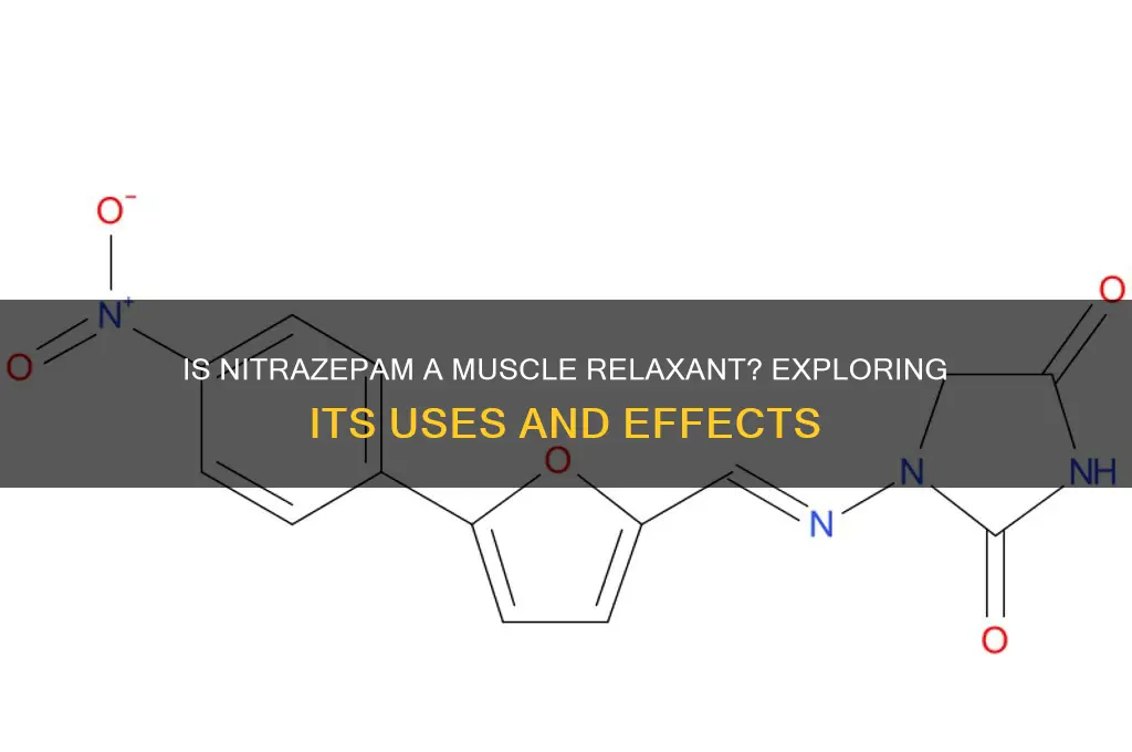 is nitrazepam a muscle relaxant