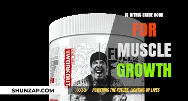 Nitric Oxide and Muscle Growth: Benefits, Science, and Effectiveness