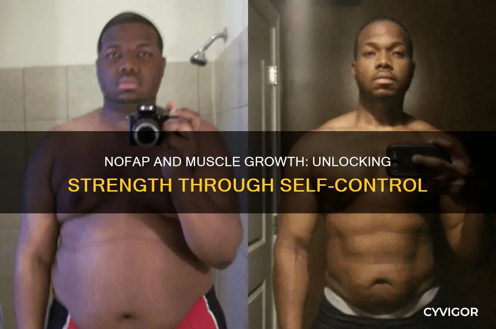 is nofap good for muscle growth