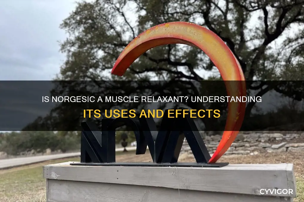 is norgesic a muscle relaxant