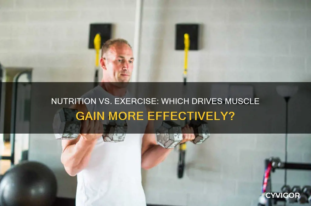 is nutrition or exercise more important for muscle gain