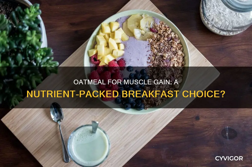 is oatmeal a good breakfast for muscle gain