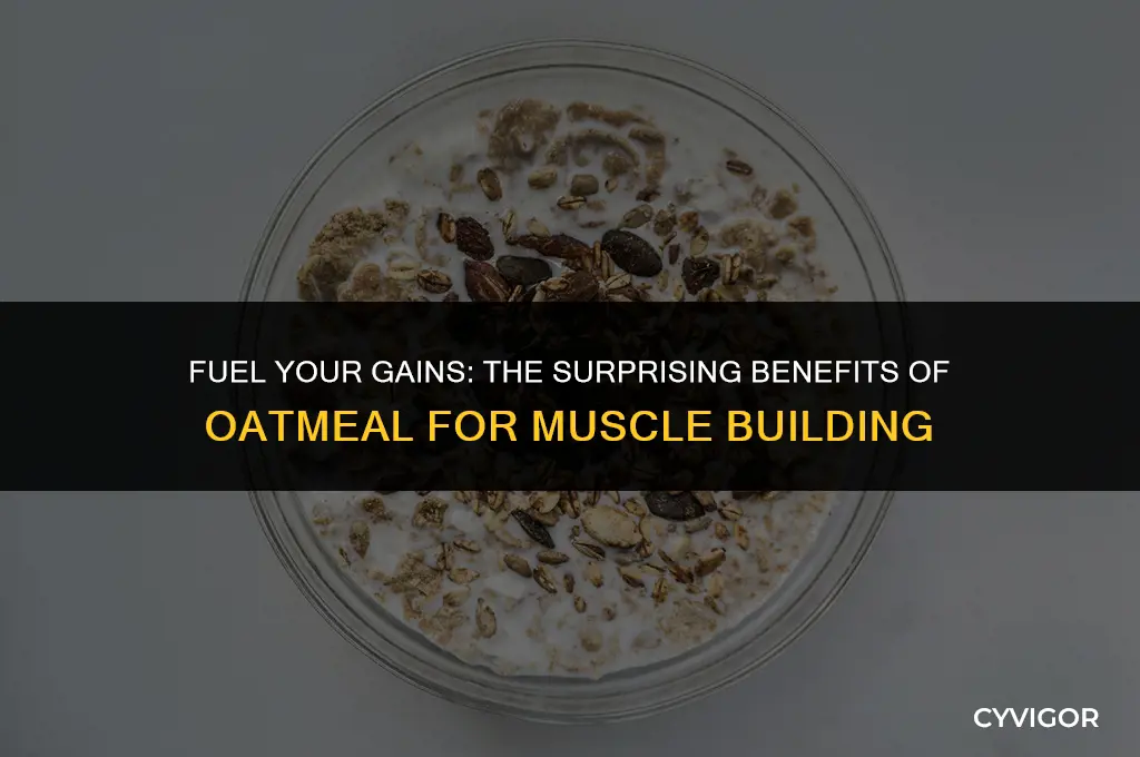 is oatmeal good for building muscle