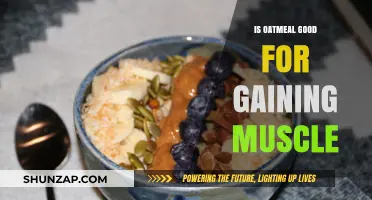 Oatmeal for Muscle Gain: Fueling Your Fitness Goals Effectively