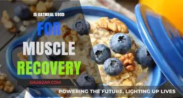 Oatmeal's Role in Muscle Recovery: Benefits and Best Practices