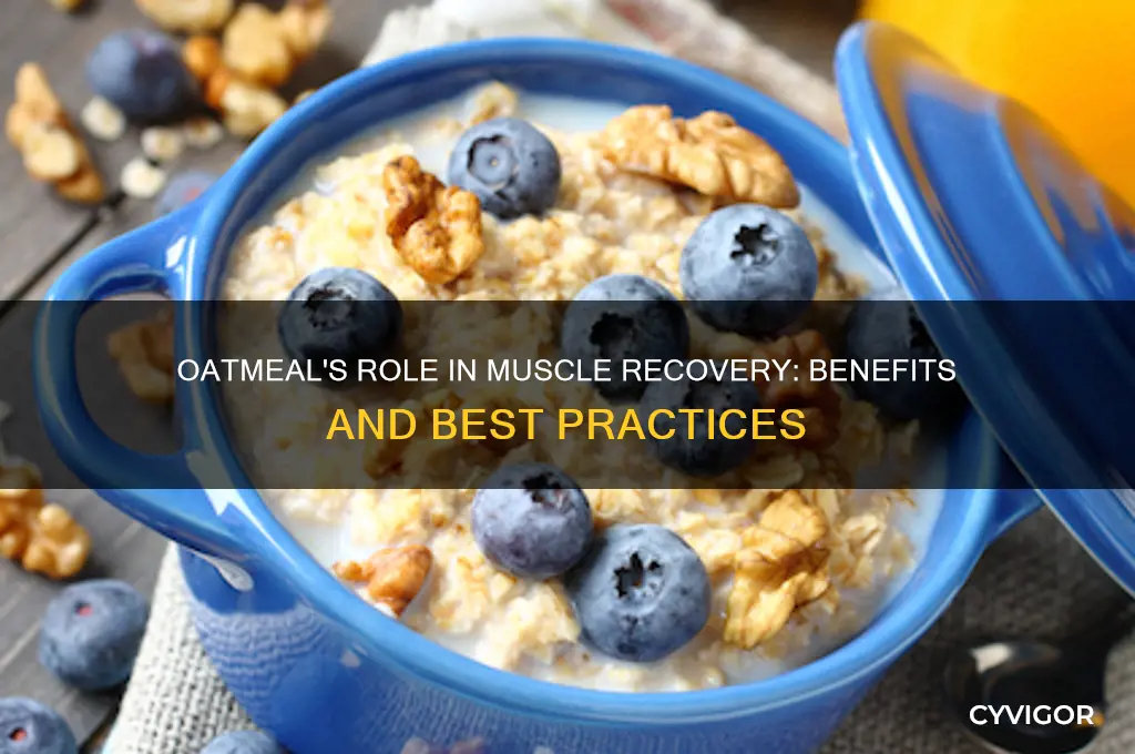 is oatmeal good for muscle recovery