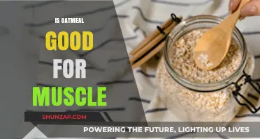 Oatmeal for Muscle Growth: Benefits, Nutrition, and Recovery Tips