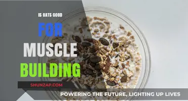 Fuel Your Gains: The Surprising Benefits of Oats for Muscle Building