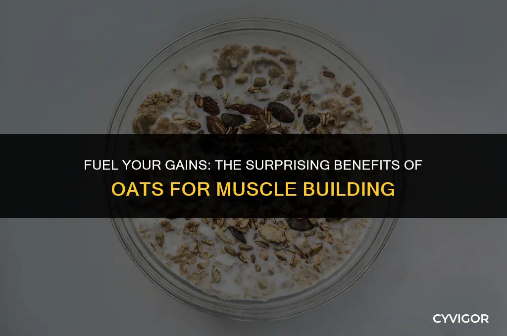 is oats good for muscle building