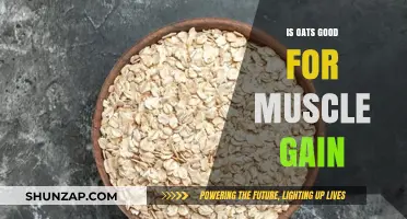Oats for Muscle Gain: Nutritional Benefits and Effective Strategies