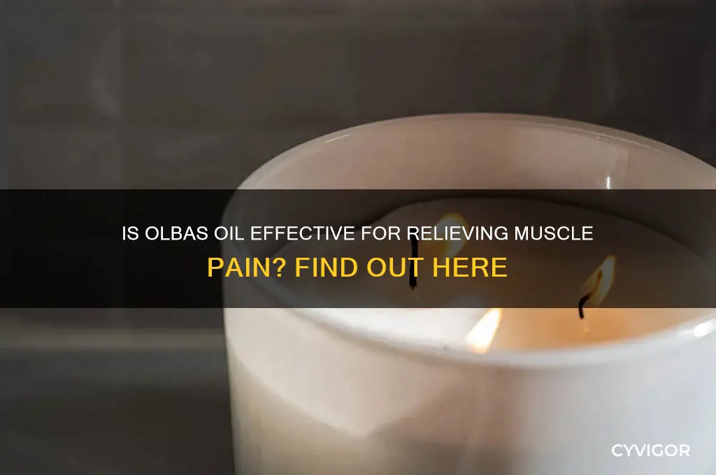 is olbas oil good for muscle pain