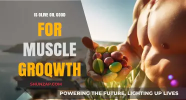 Olive Oil and Muscle Growth: Unlocking Benefits for Strength and Recovery