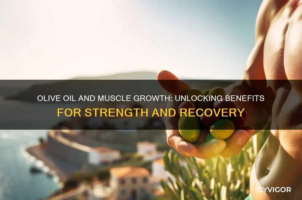 is olive oil good for muscle groqwth