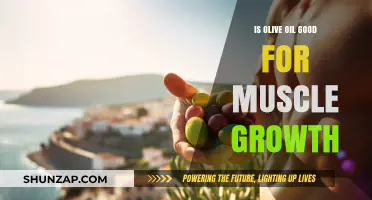 Olive Oil Benefits: Can It Boost Muscle Growth and Recovery?