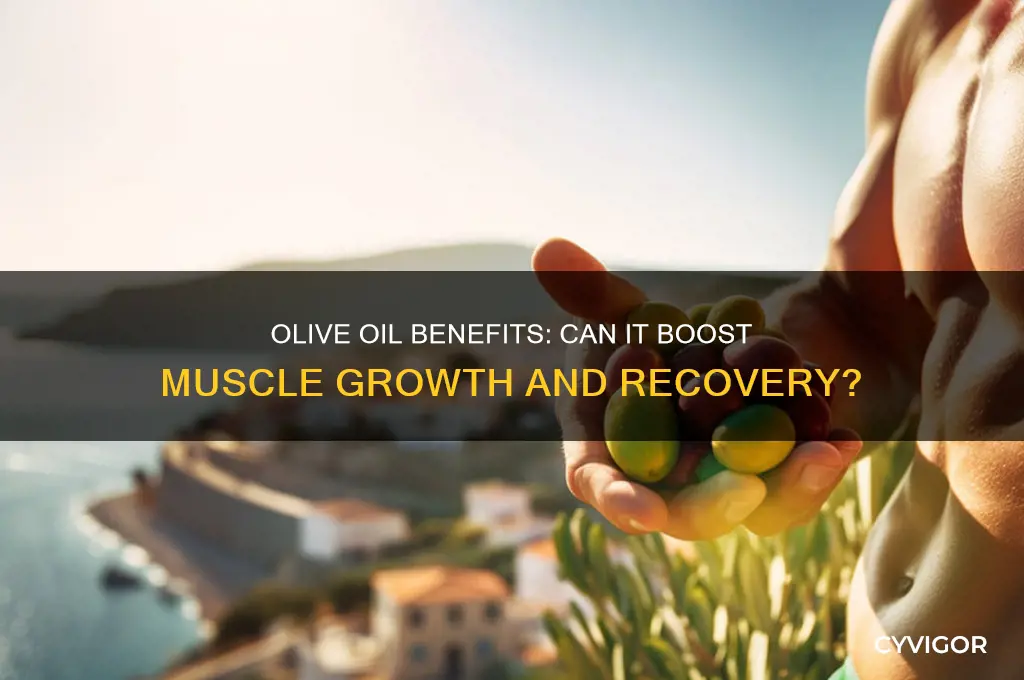 is olive oil good for muscle growth