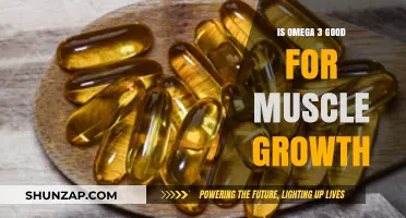 Omega-3 Benefits: Boosting Muscle Growth and Recovery Naturally