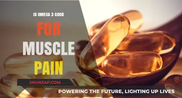 Omega-3 Benefits: Can It Relieve Muscle Pain and Inflammation?