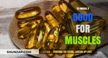 Omega-3 Benefits: Enhancing Muscle Growth, Recovery, and Strength Naturally