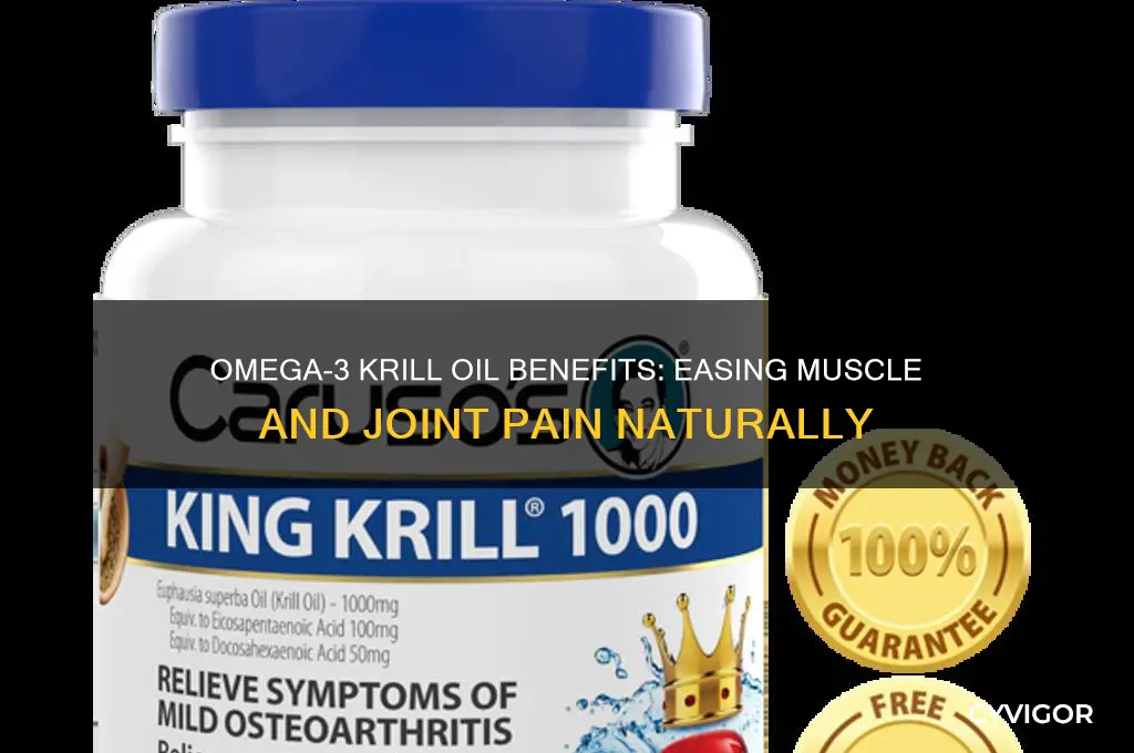 is omega-3 krill oil good for muscle and joint pain