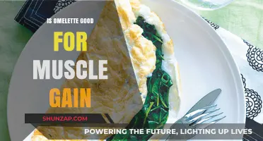 Omelette for Muscle Gain: A Protein-Packed Breakfast Option?