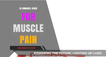 Omnigel for Muscle Pain: Benefits, Effectiveness, and Usage Tips