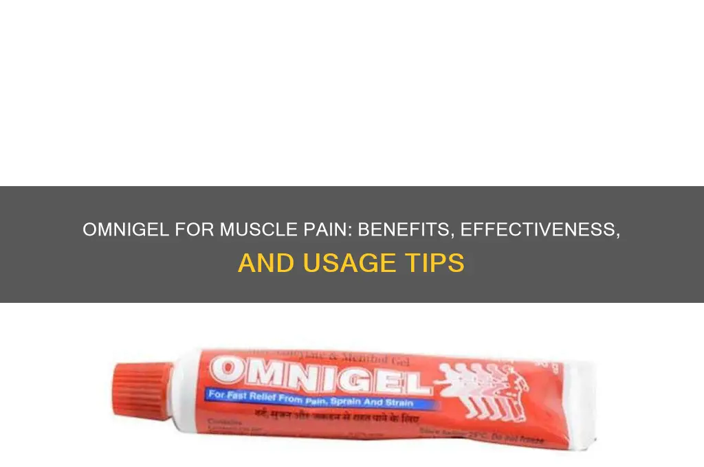 is omnigel good for muscle pain