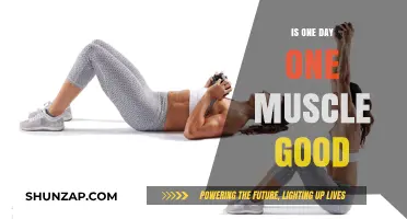One Day, One Muscle: Effective or Overrated Training Strategy?