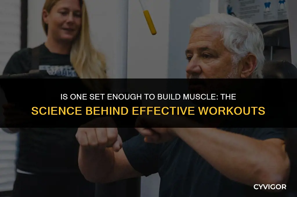 is one set enough to build muscle