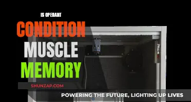 Muscle Memory: Operant Conditioning for Physical Mastery