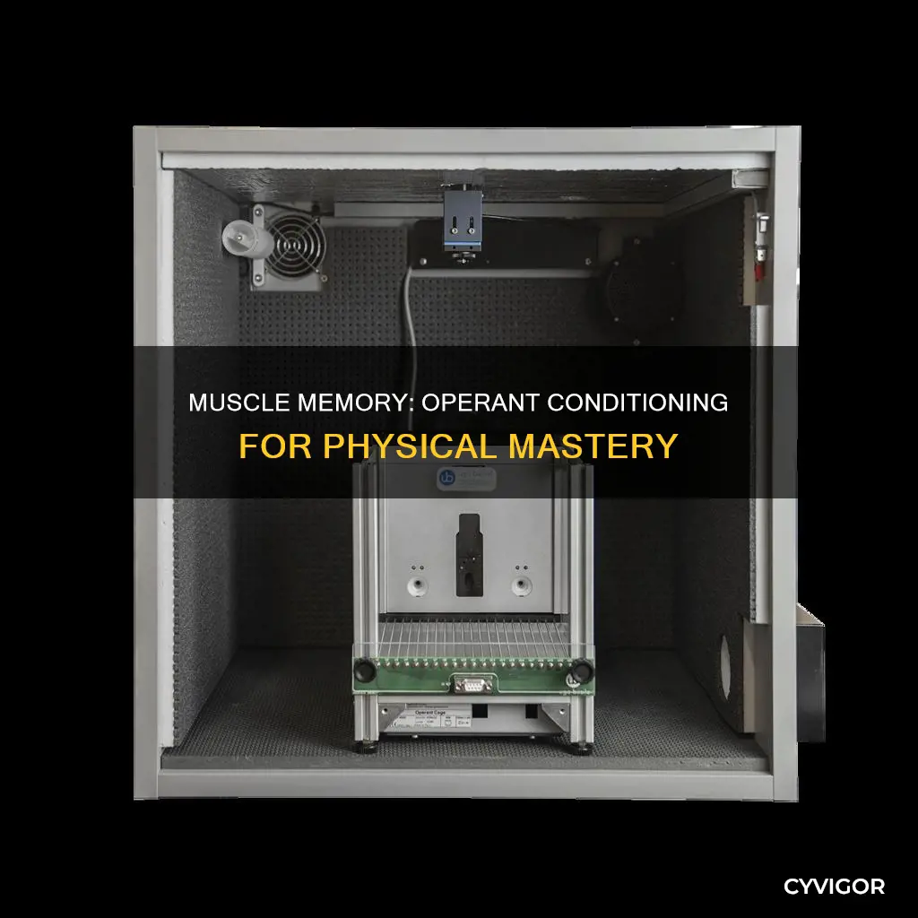 is operant condition muscle memory