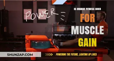 Is Orange Fitness Effective for Building Muscle? A Comprehensive Review