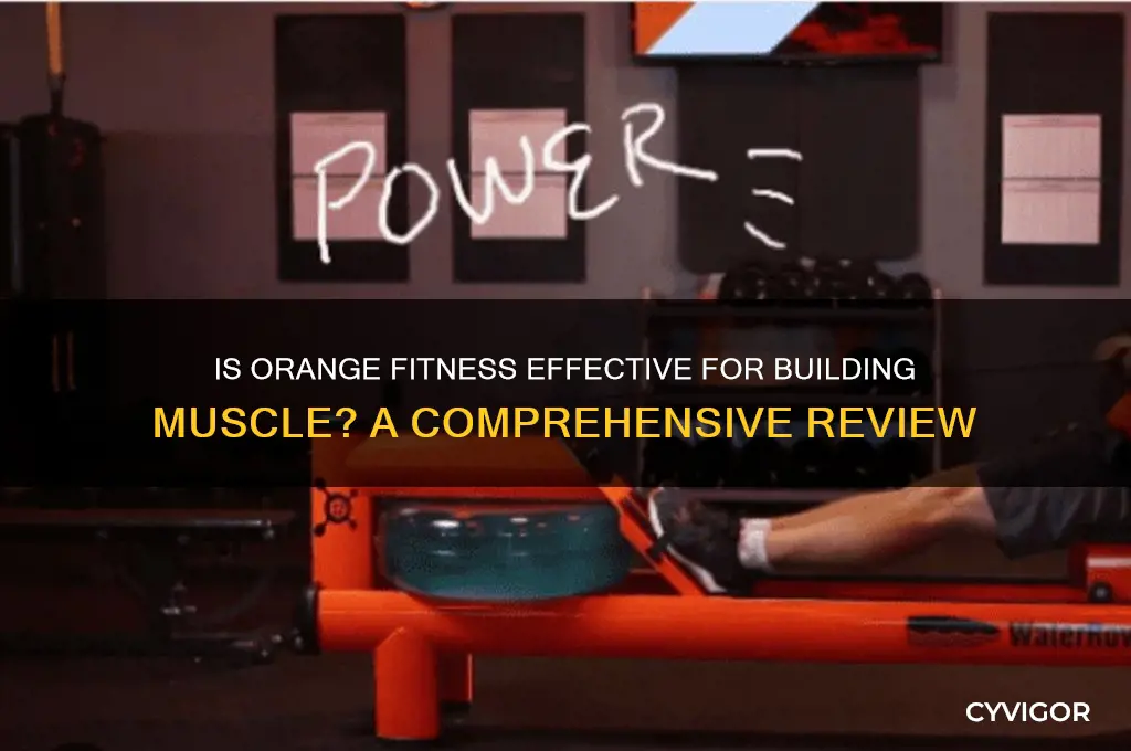 is orange fitness good for muscle gain