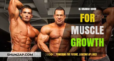 Is Orange Good for Muscle Growth? Unlocking Citrus Benefits
