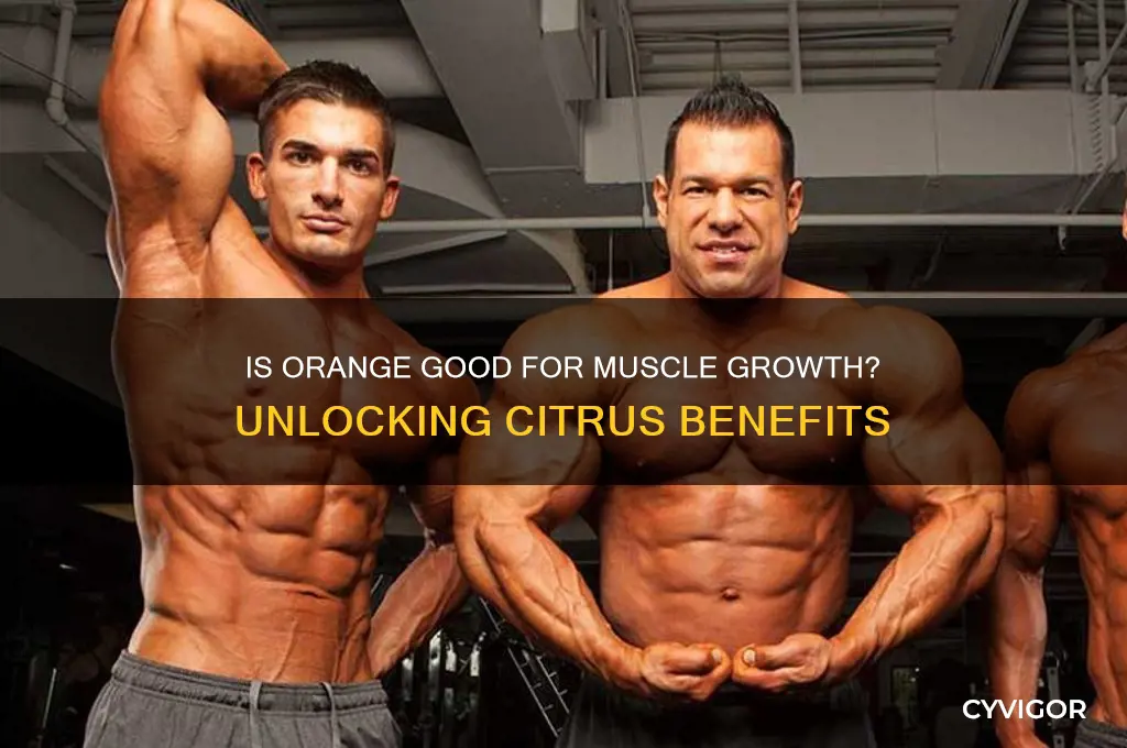 is orange good for muscle growth