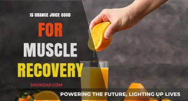 Orange Juice and Muscle Recovery: Benefits, Myths, and Best Practices