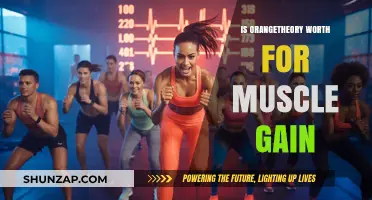 Orangetheory for Muscle Gain: Is It Worth the Hype?