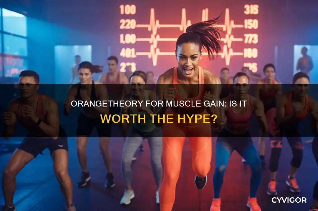 is orangetheory worth for muscle gain