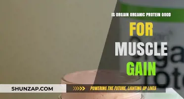 Is Orgain Organic Protein Effective for Muscle Gain? A Review
