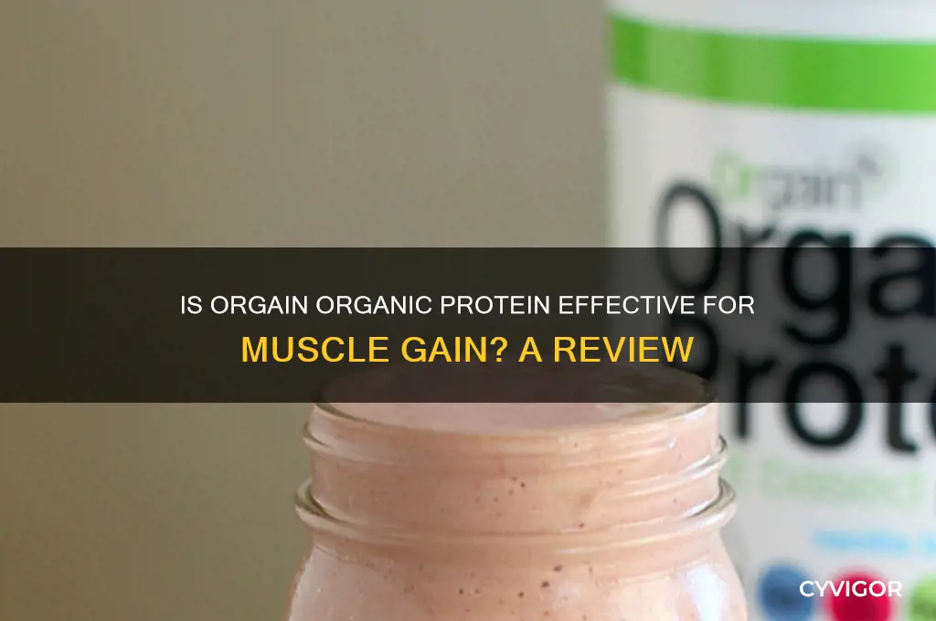 is orgain organic protein good for muscle gain