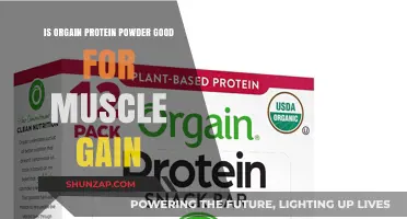 Is Orgain Protein Powder Effective for Muscle Gain? A Review