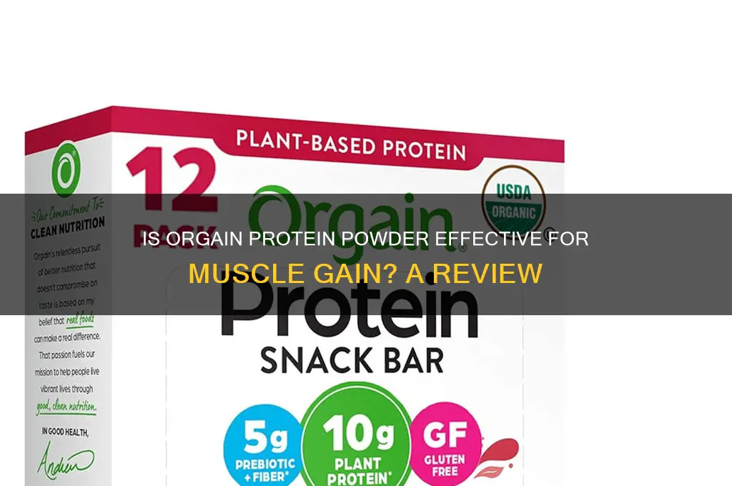 is orgain protein powder good for muscle gain