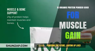 Is Organic Protein Powder Effective for Muscle Gain? A Comprehensive Guide