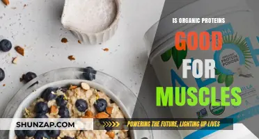 Organic Proteins: Muscle-Building Benefits and Nutritional Impact Explained