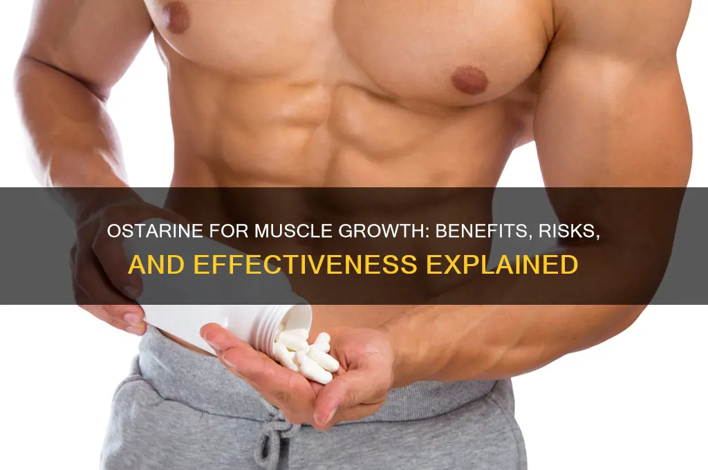 is ostarine good for muscles